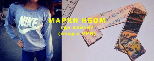 молекула духа Козловка