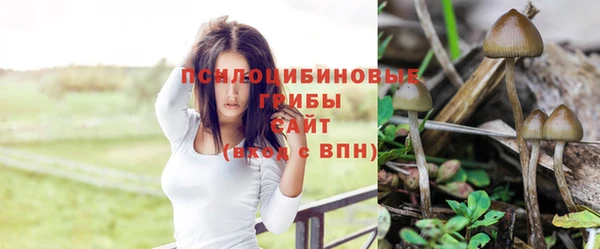 марки nbome Козельск