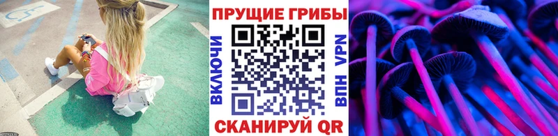 Галлюциногенные грибы прущие грибы  Купить где  Шимановск 